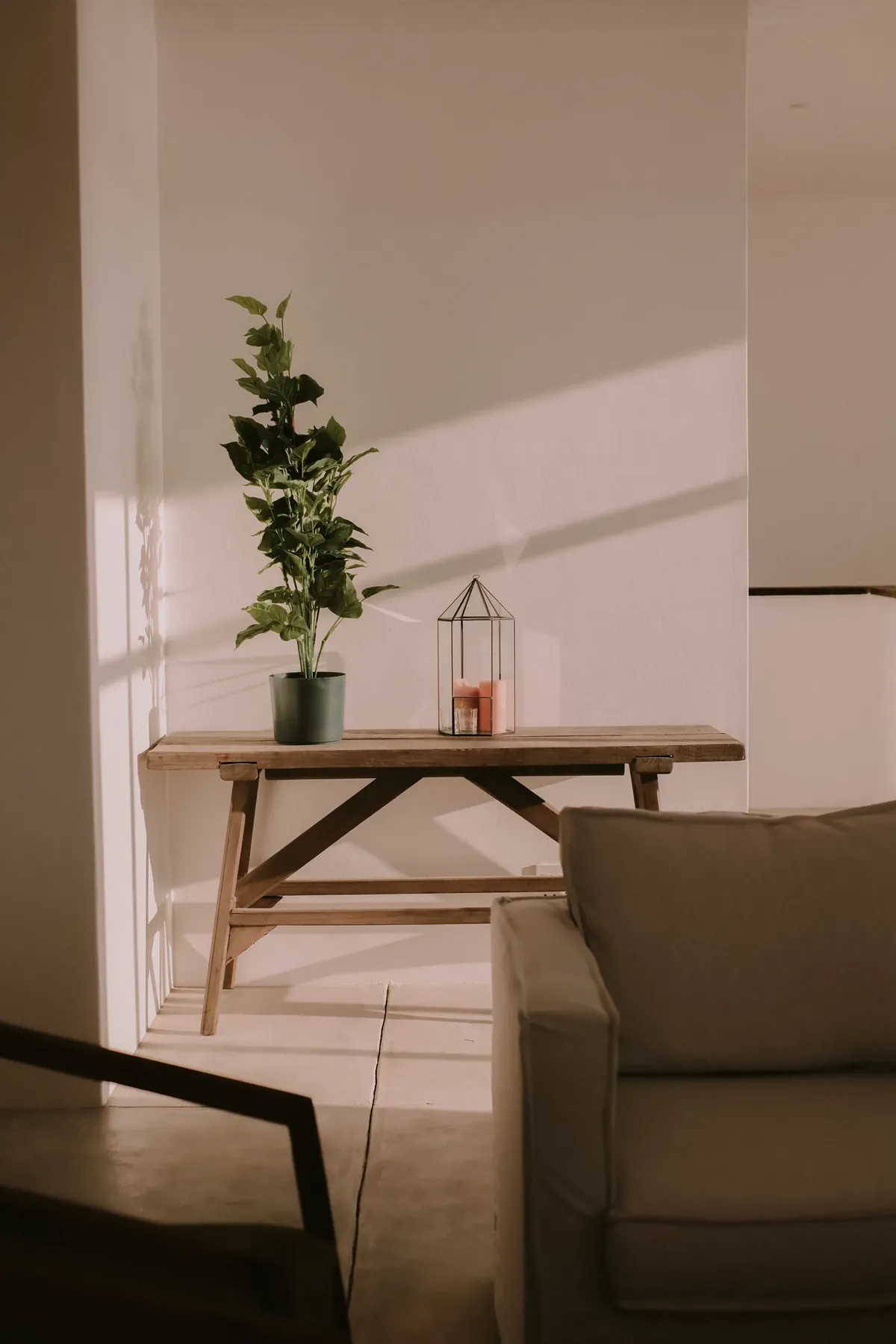 A timber console table with a plant and a glass lantern, in afternoon light