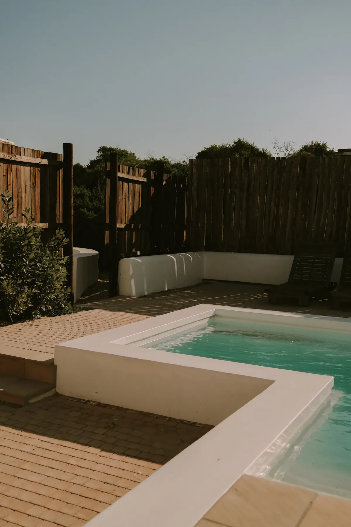 The courtyard pool beside timber screens and planted beds